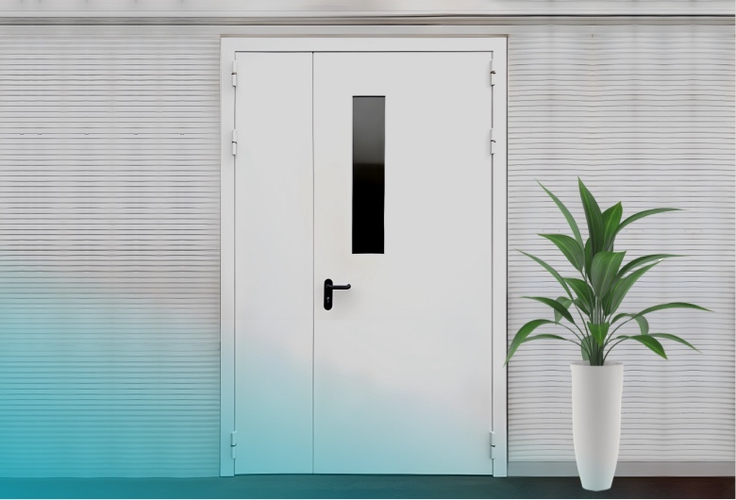 Двери для магазинов